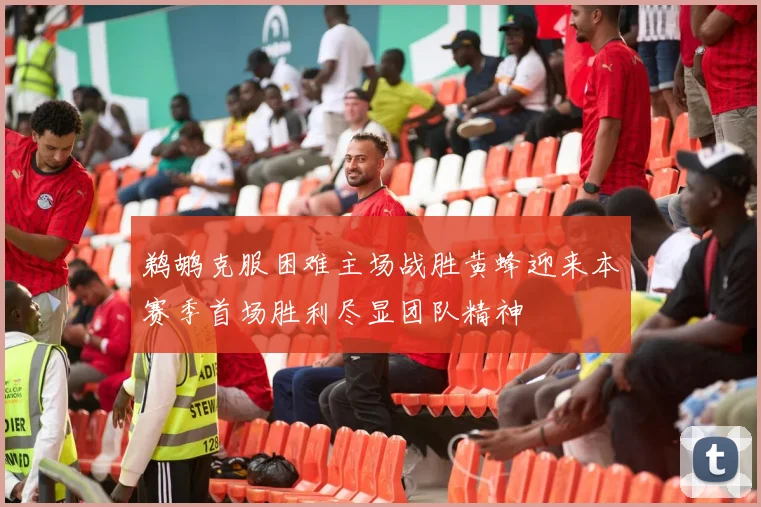 鹈鹕克服困难主场战胜黄蜂迎来本赛季首场胜利尽显团队精神